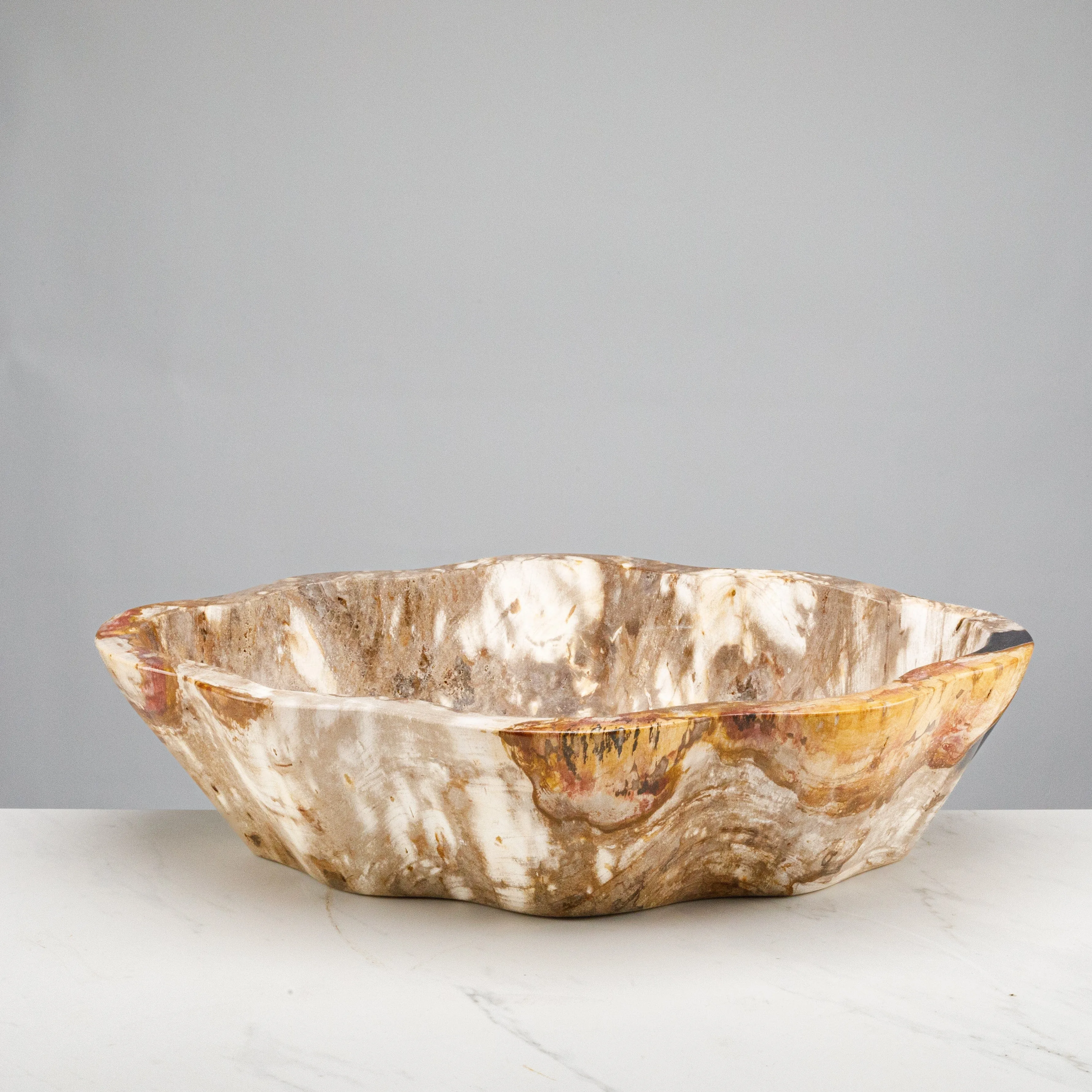 24 Brown Petrified Wood Flower Bowl