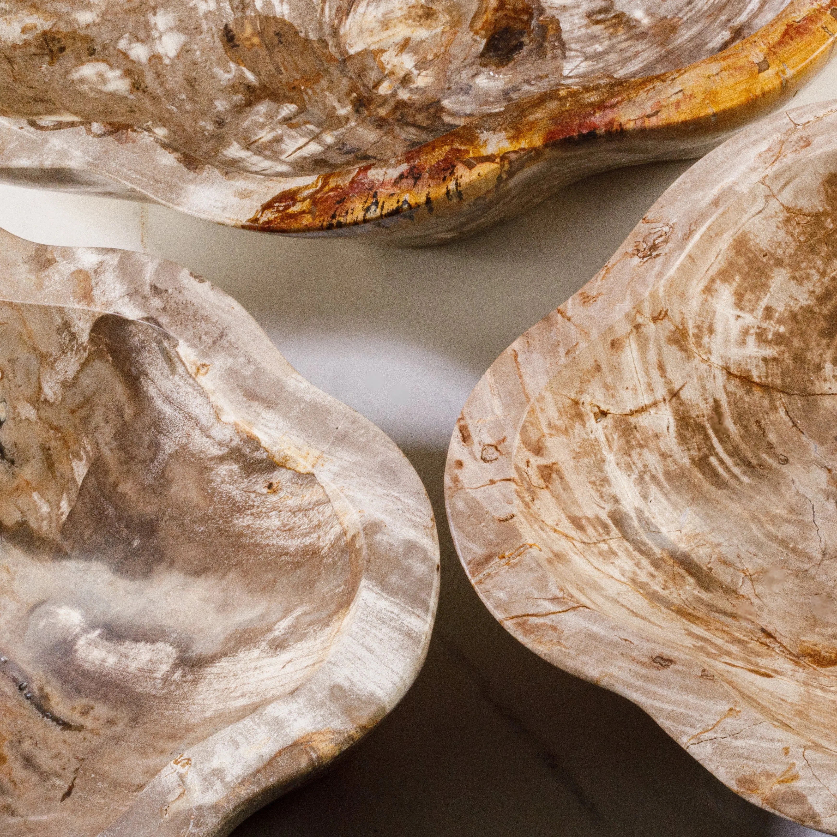 24 Brown Petrified Wood Flower Bowl