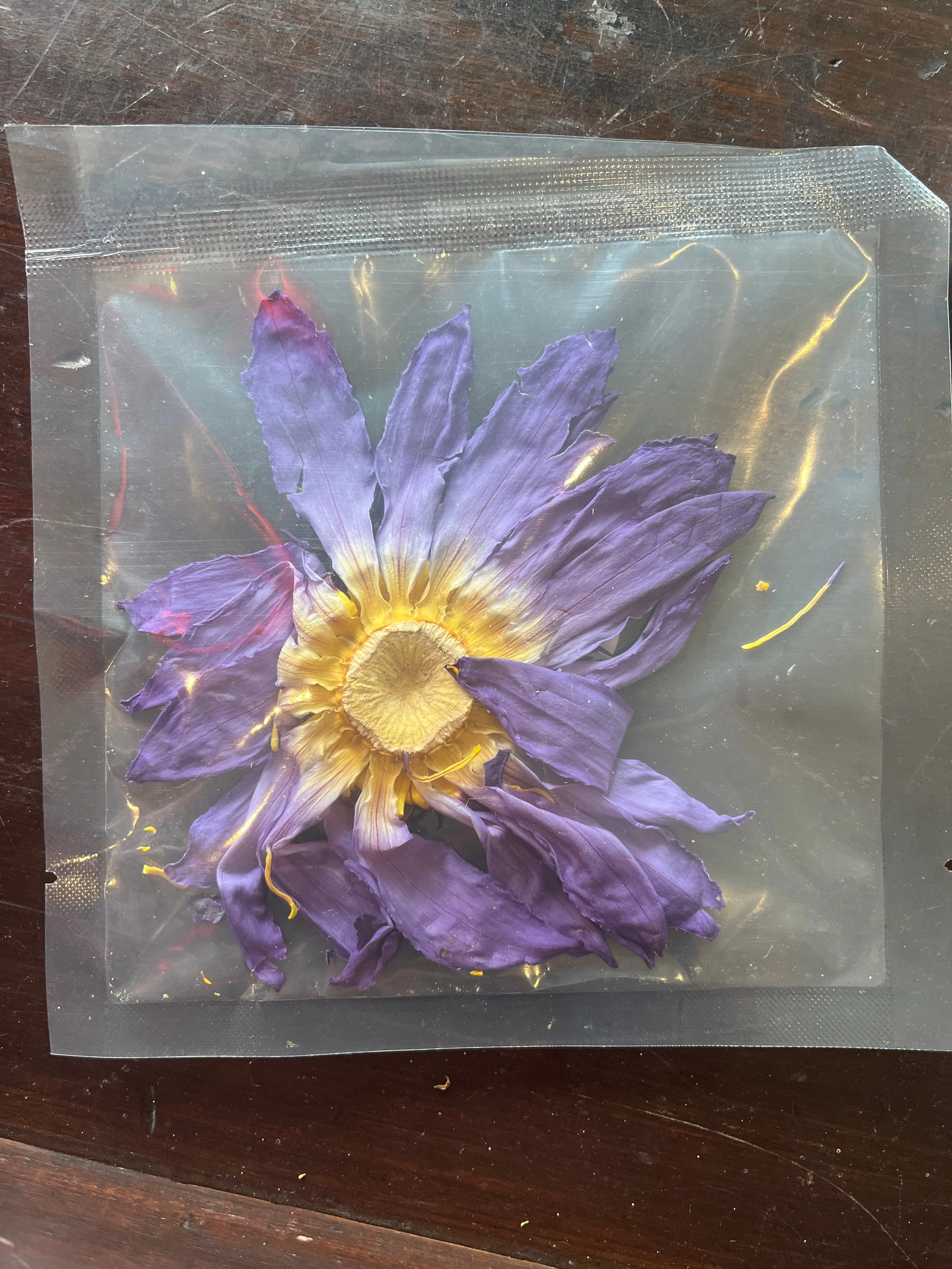 Blue lotus flower (whole)