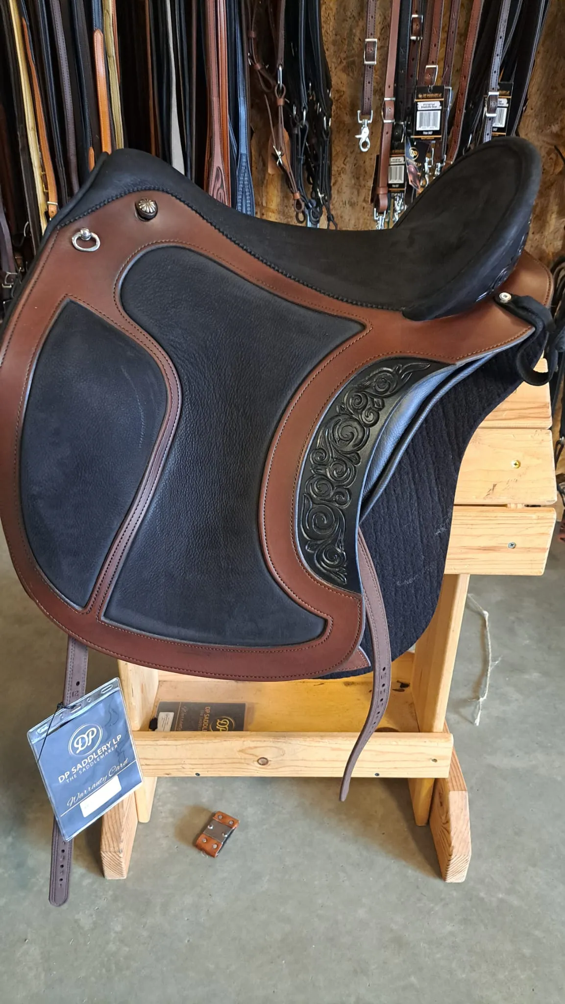 DP Saddlery El Campo Shorty 7625