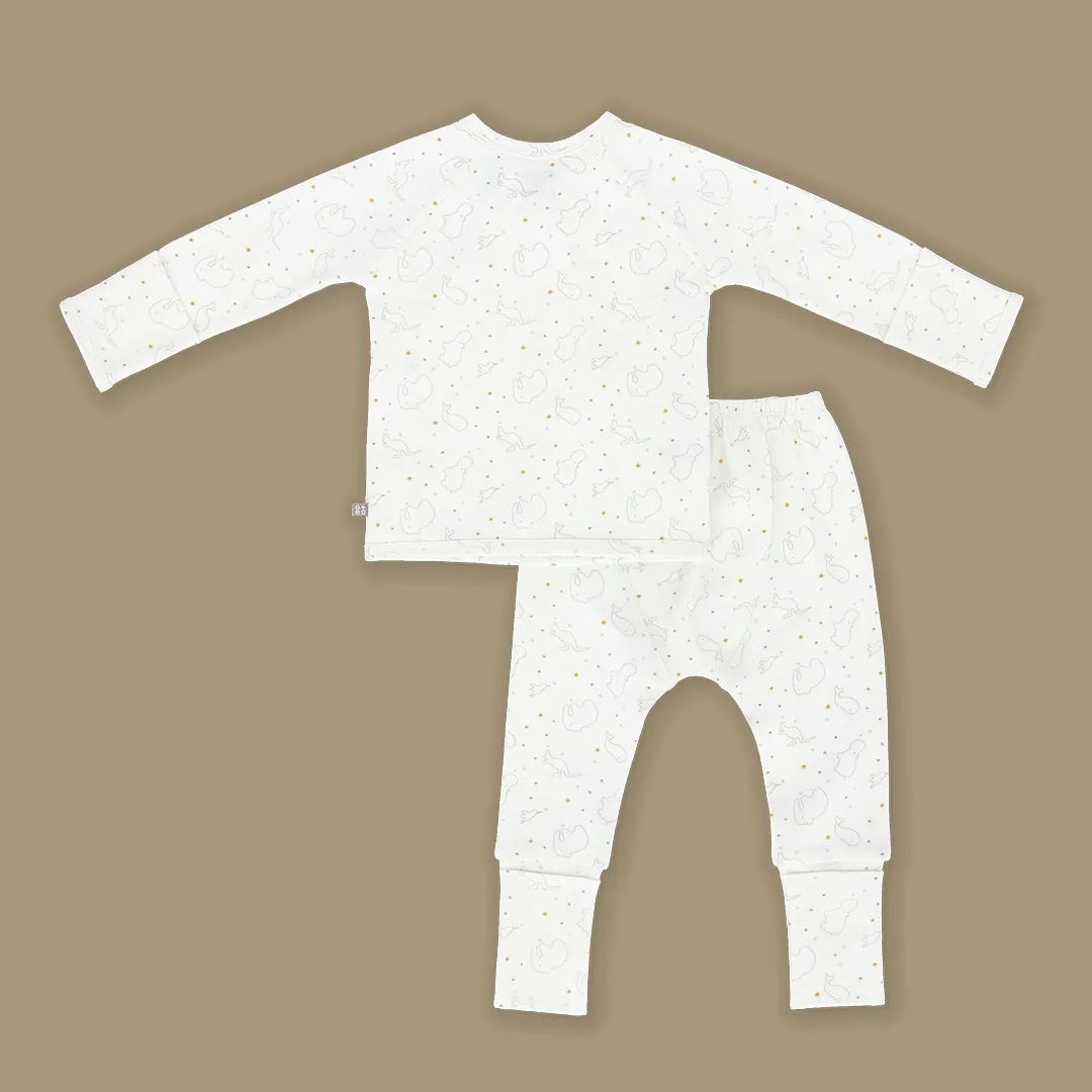 Whole New World Organic Cotton Baby Snap Front Jammies