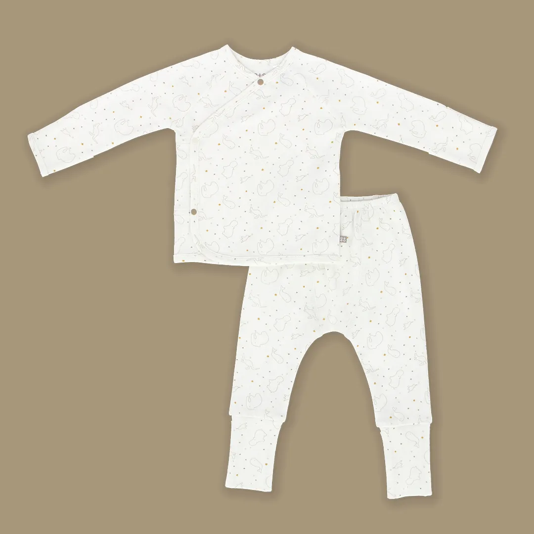 Whole New World Organic Cotton Baby Snap Front Jammies